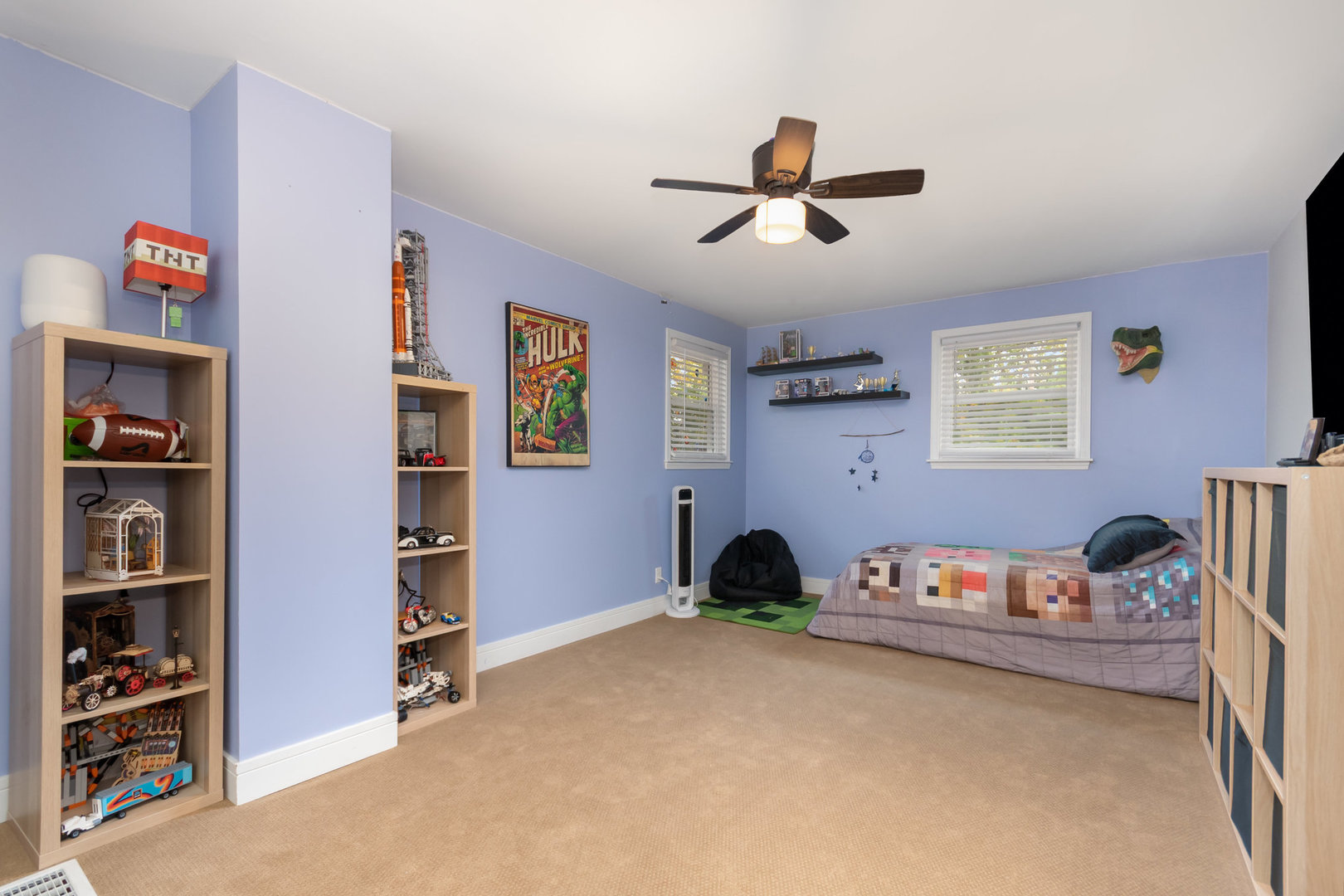 11051 West Elmwood Court Mokena IL 60448