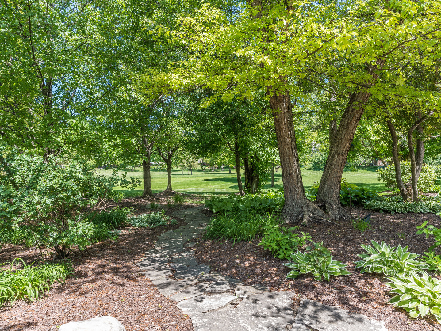 1611 Mistwood Drive Naperville IL 60540