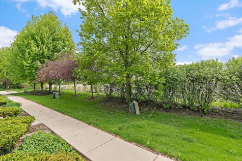 3339 Cameron Drive Elgin IL 60124