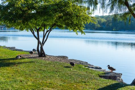 2308 Loop Road Algonquin IL 60102