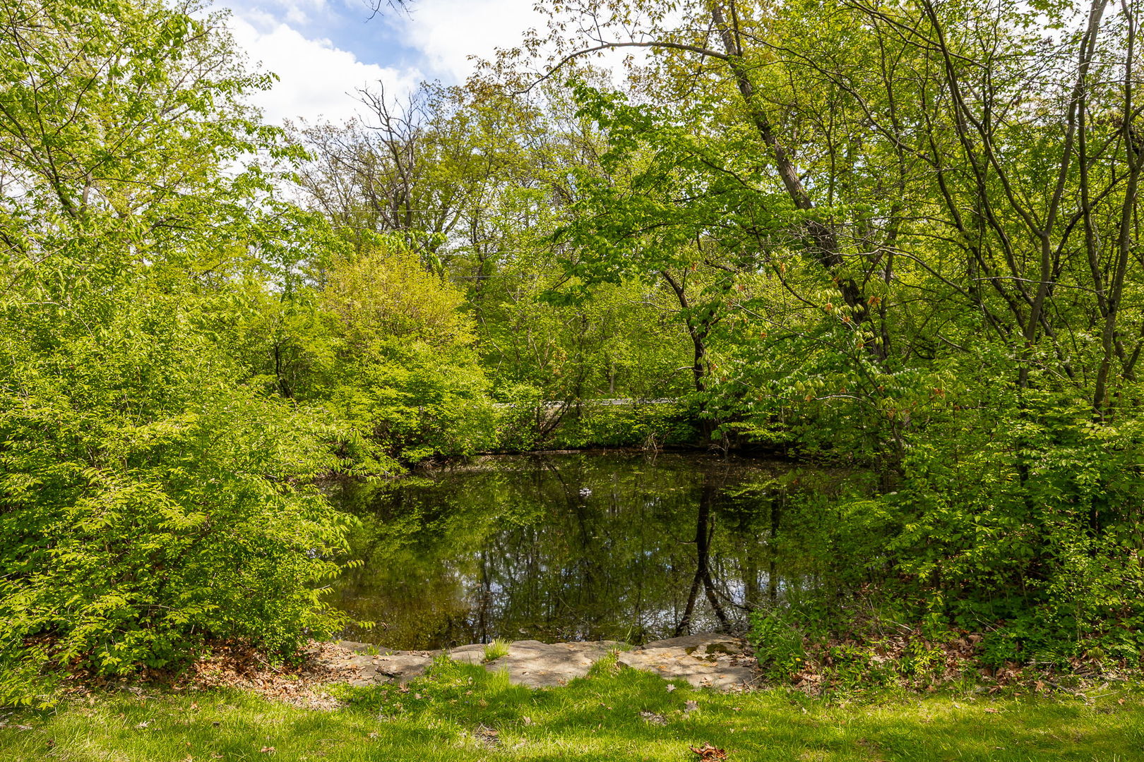 7S460 Donwood Drive Naperville IL 60540