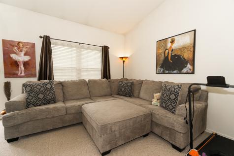 23313 West Odessa Court Plainfield IL 60544