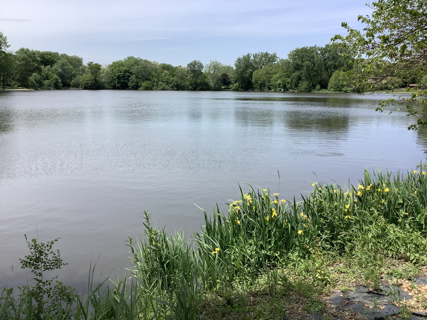 8408 Lakeside Drive Downers Grove IL 60516