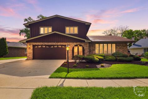 739 Kostner Avenue Matteson IL 60443