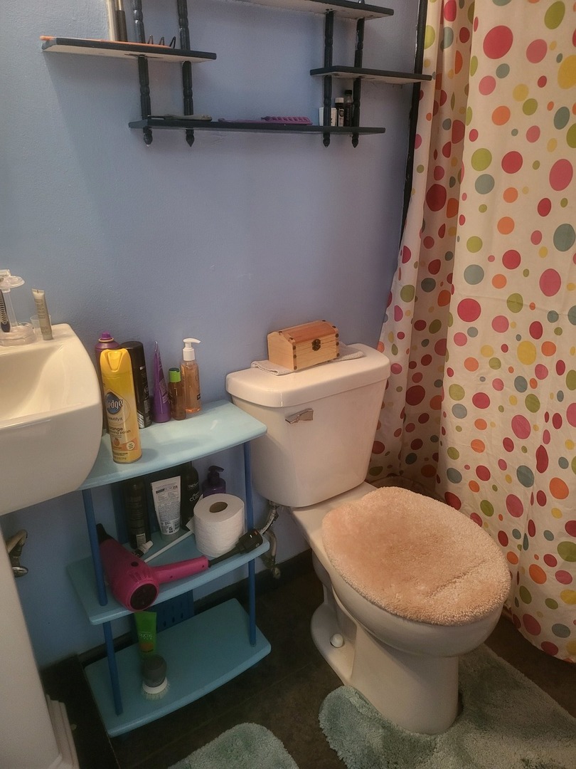 198 Beaconridge Drive Bolingbrook IL 60440