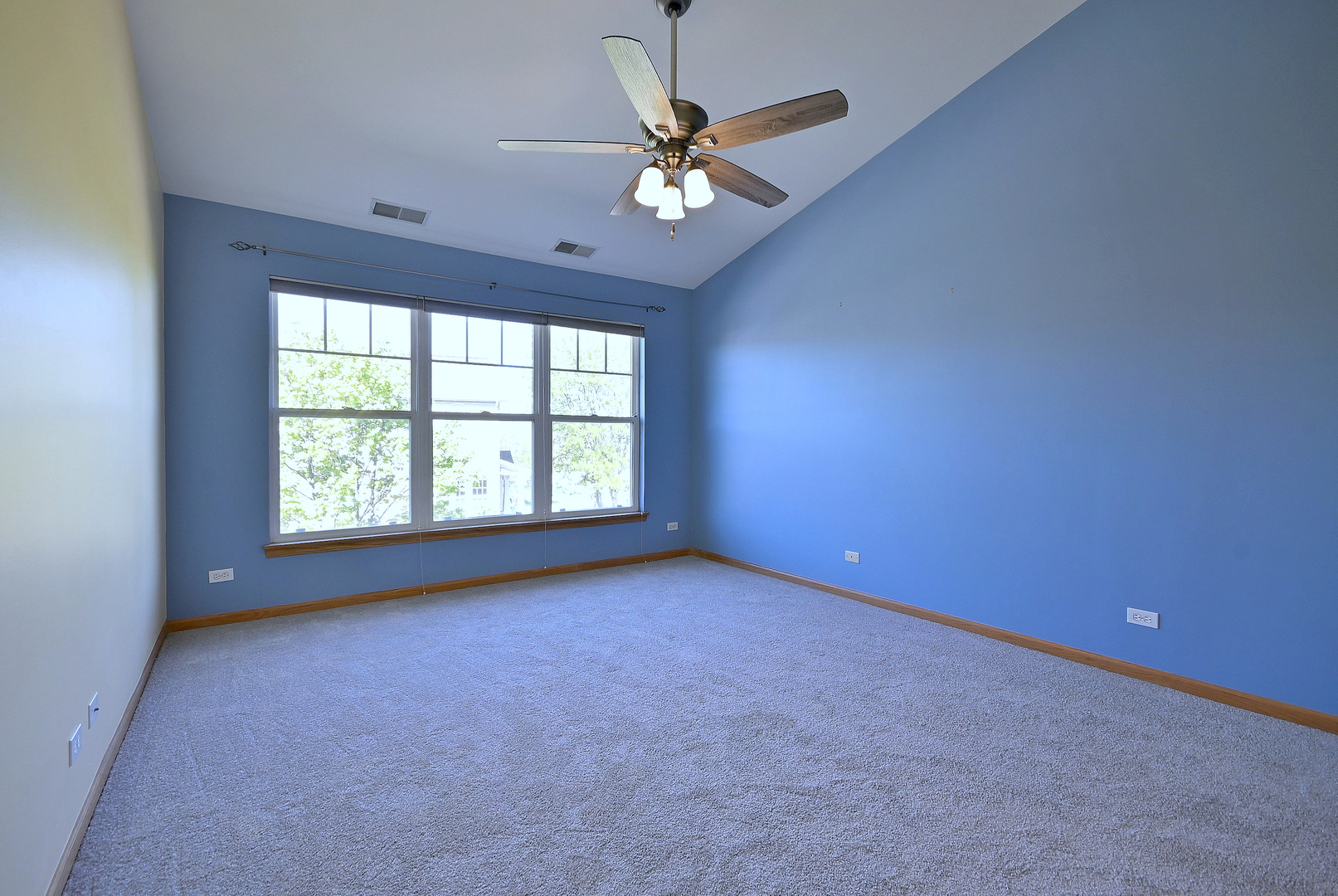 6069 River Bend Drive Lisle IL 60532