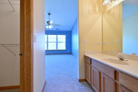 6069 River Bend Drive Lisle IL 60532