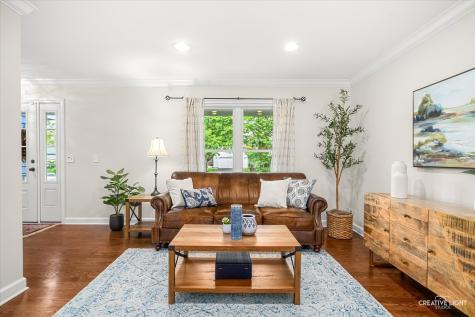 2576 Leach Drive Naperville IL 60564