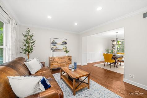 2576 Leach Drive Naperville IL 60564