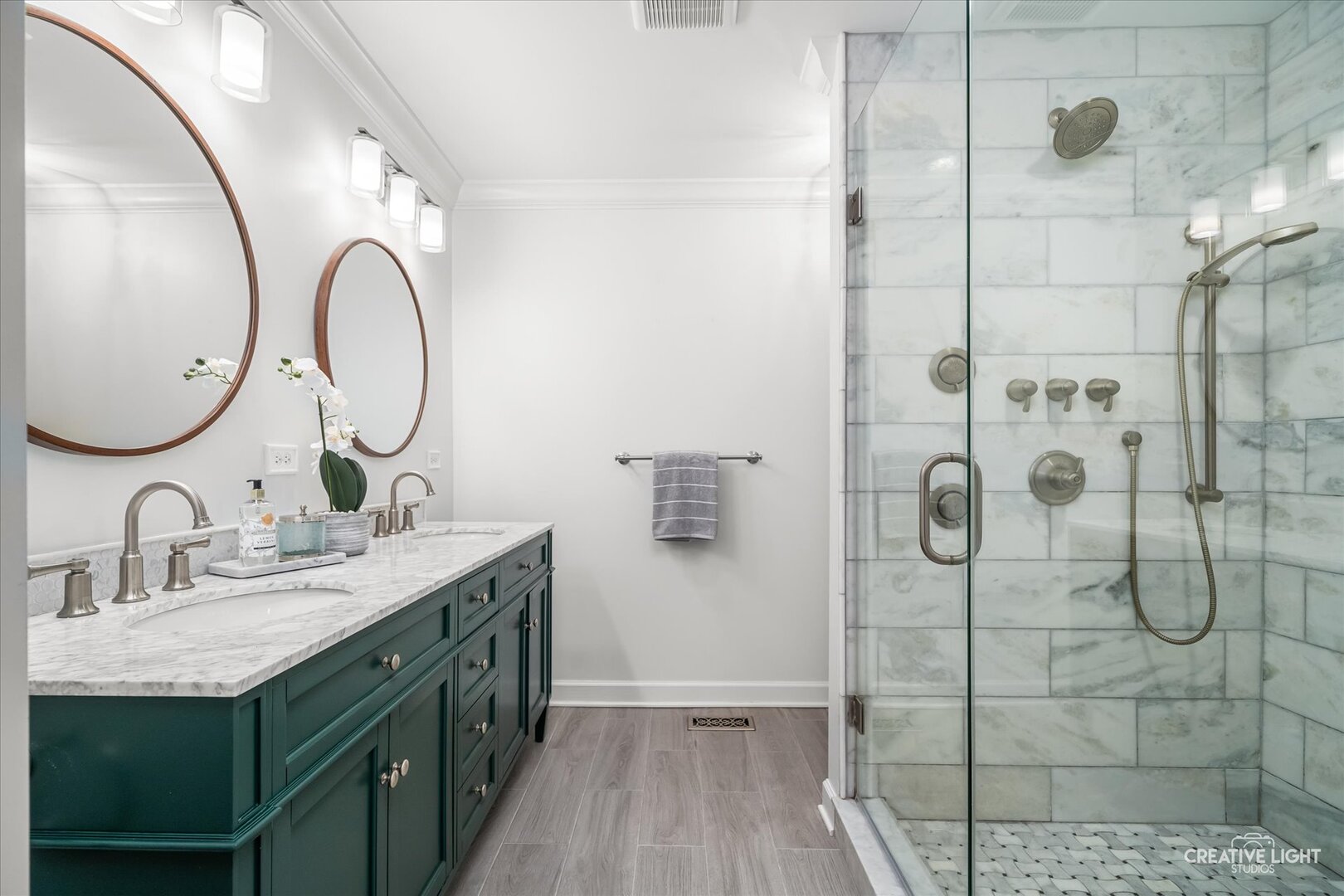 2576 Leach Drive Naperville IL 60564