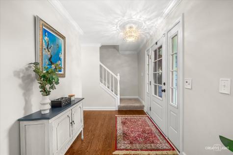 2576 Leach Drive Naperville IL 60564