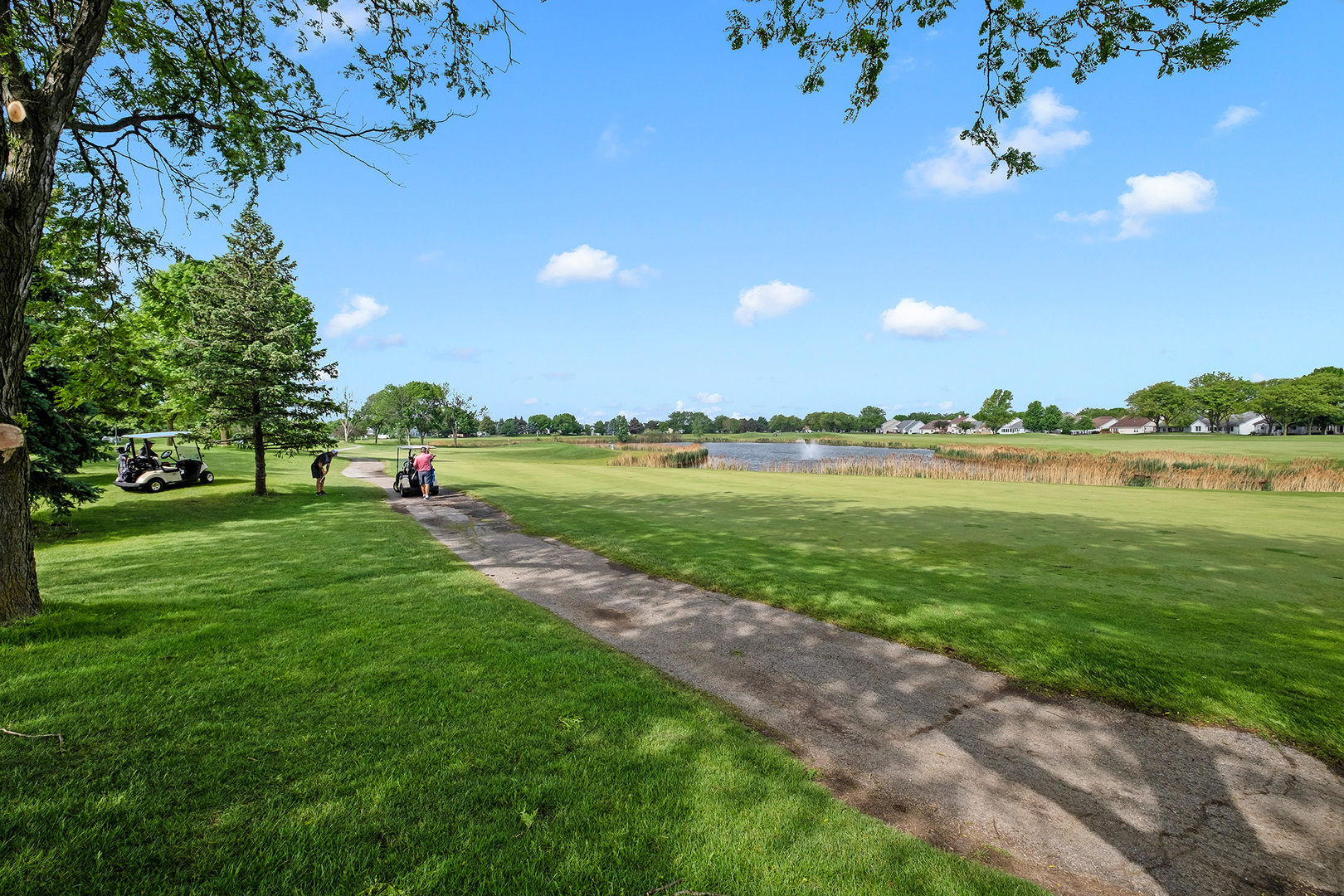 21445 West Douglas Lane Plainfield IL 60544