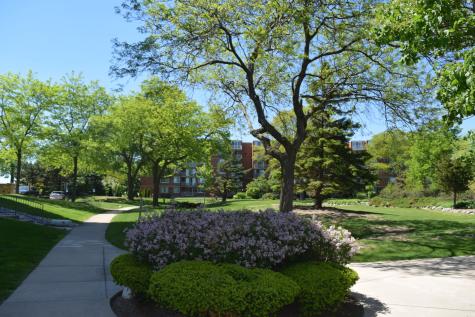 2222 South Stewart Avenue Lombard IL 60148