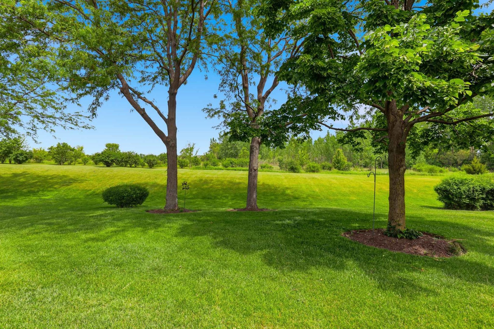 12610 Oak Grove Drive Huntley IL 60142