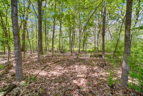 27250 North Meadowoods Lane Mettawa IL 60048