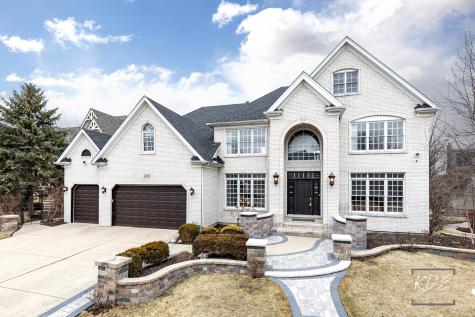 3307 Danlaur Court Naperville IL 60564