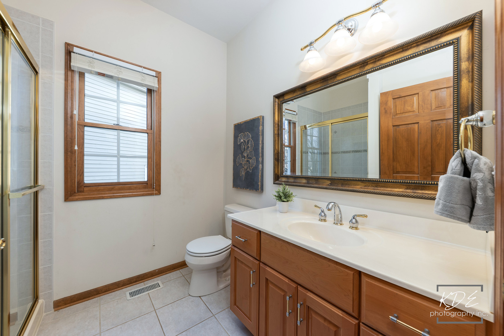 3307 Danlaur Court Naperville IL 60564
