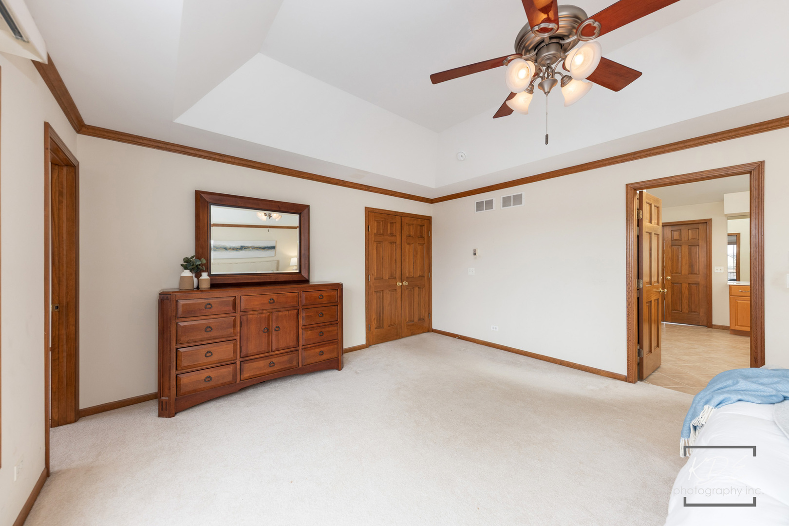 3307 Danlaur Court Naperville IL 60564