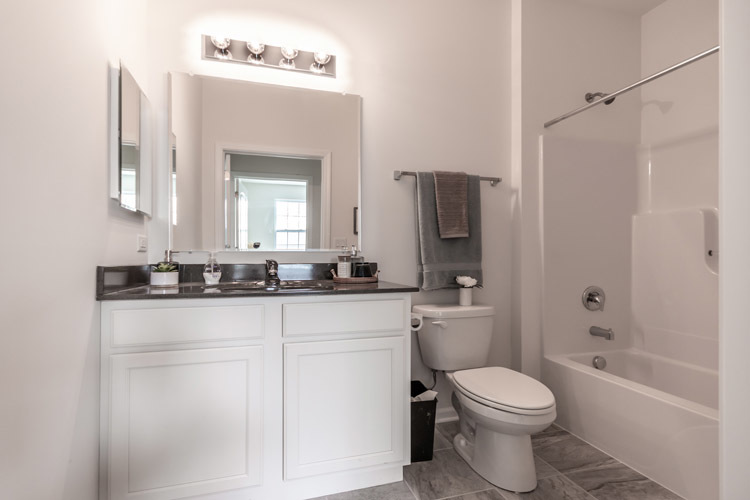 454 Ridge Lane Bolingbrook IL 60440