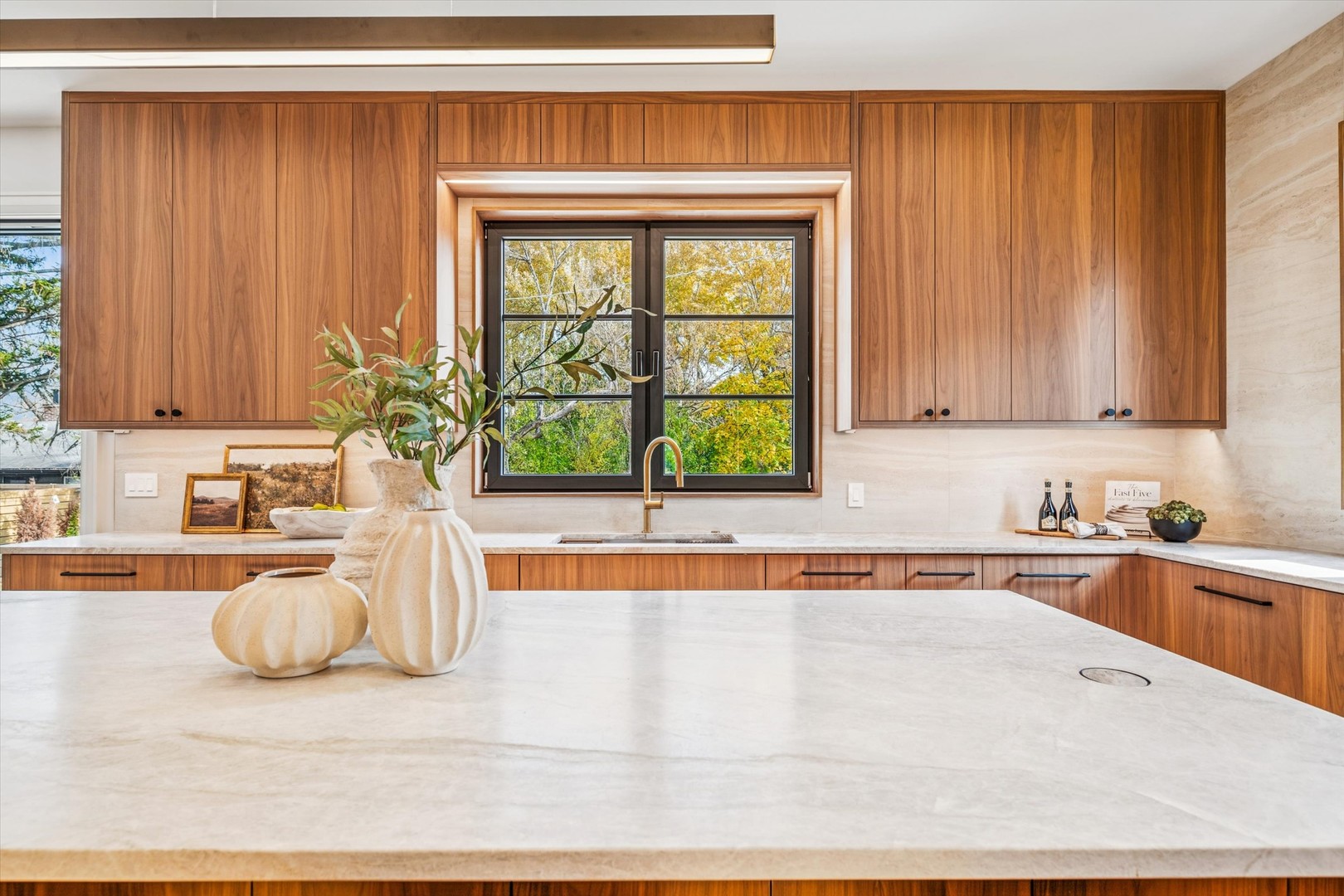 377 South Prairie Avenue Elmhurst IL 60126