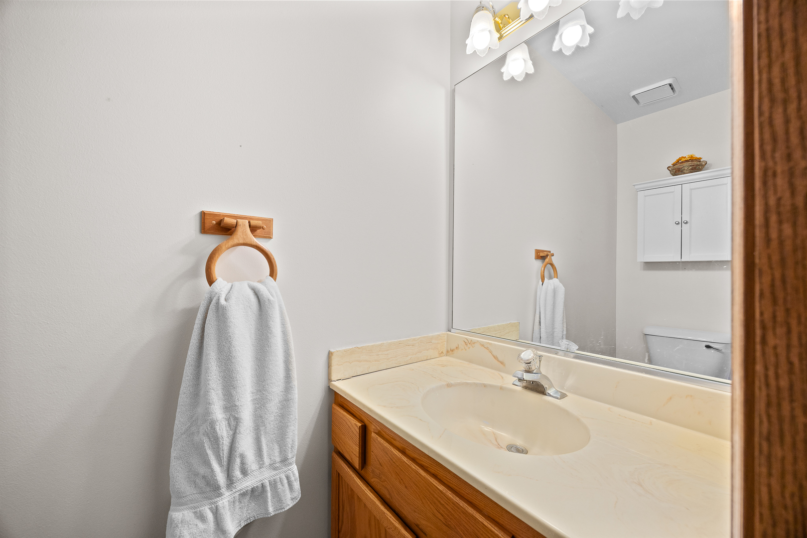 238 Paddington Lane Bolingbrook IL 60440