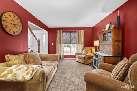534 Chestnut Drive Oswego IL 60543