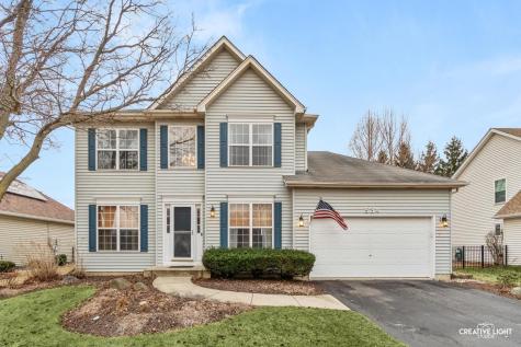 534 Chestnut Drive Oswego IL 60543
