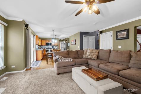 534 Chestnut Drive Oswego IL 60543