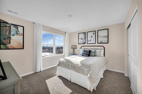297 Snowdrop Lane Elgin IL 60124