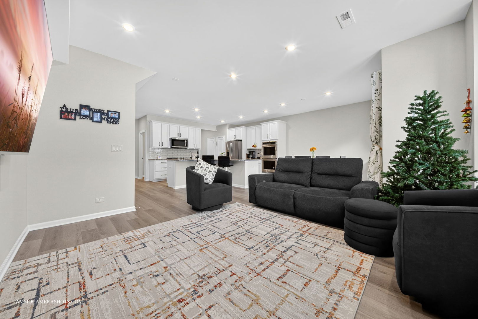 534 Watercress Drive Aurora IL 60504