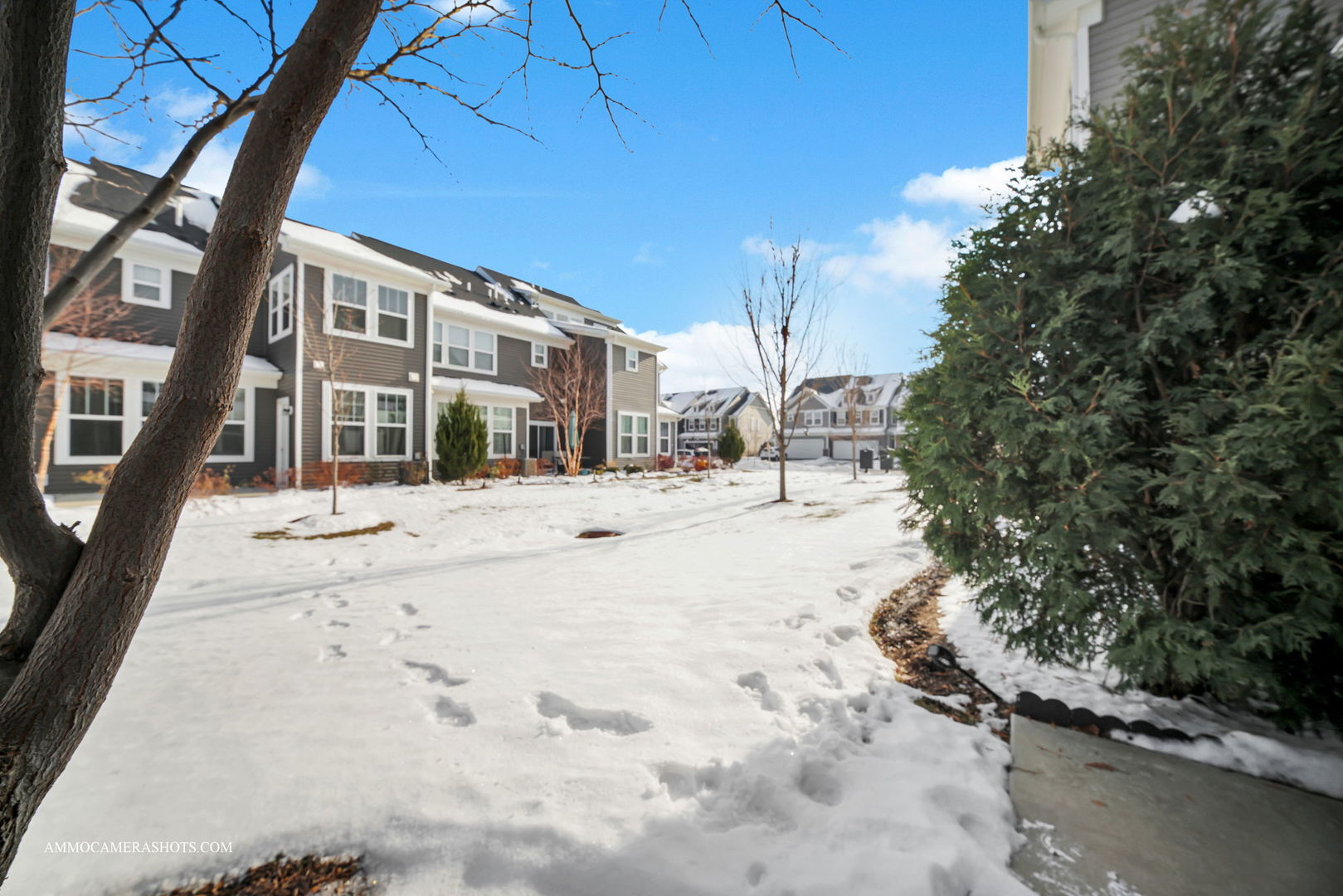 534 Watercress Drive Aurora IL 60504