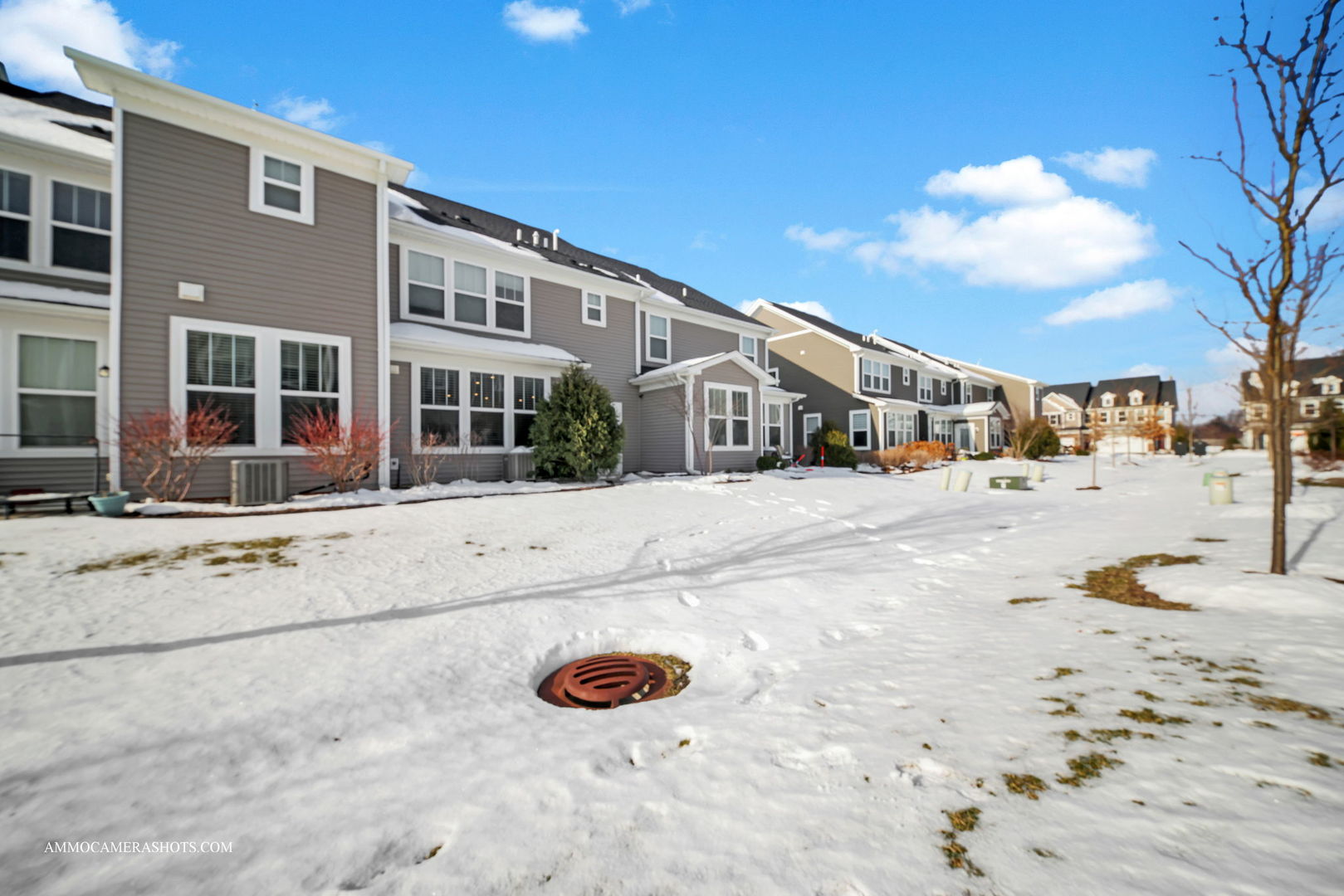 534 Watercress Drive Aurora IL 60504