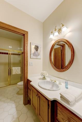68 Berkshire Court Burr Ridge IL 60527