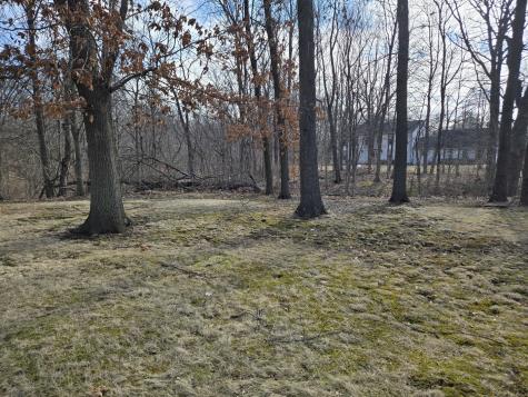 1663 East Rietveld Drive Crete IL 60417