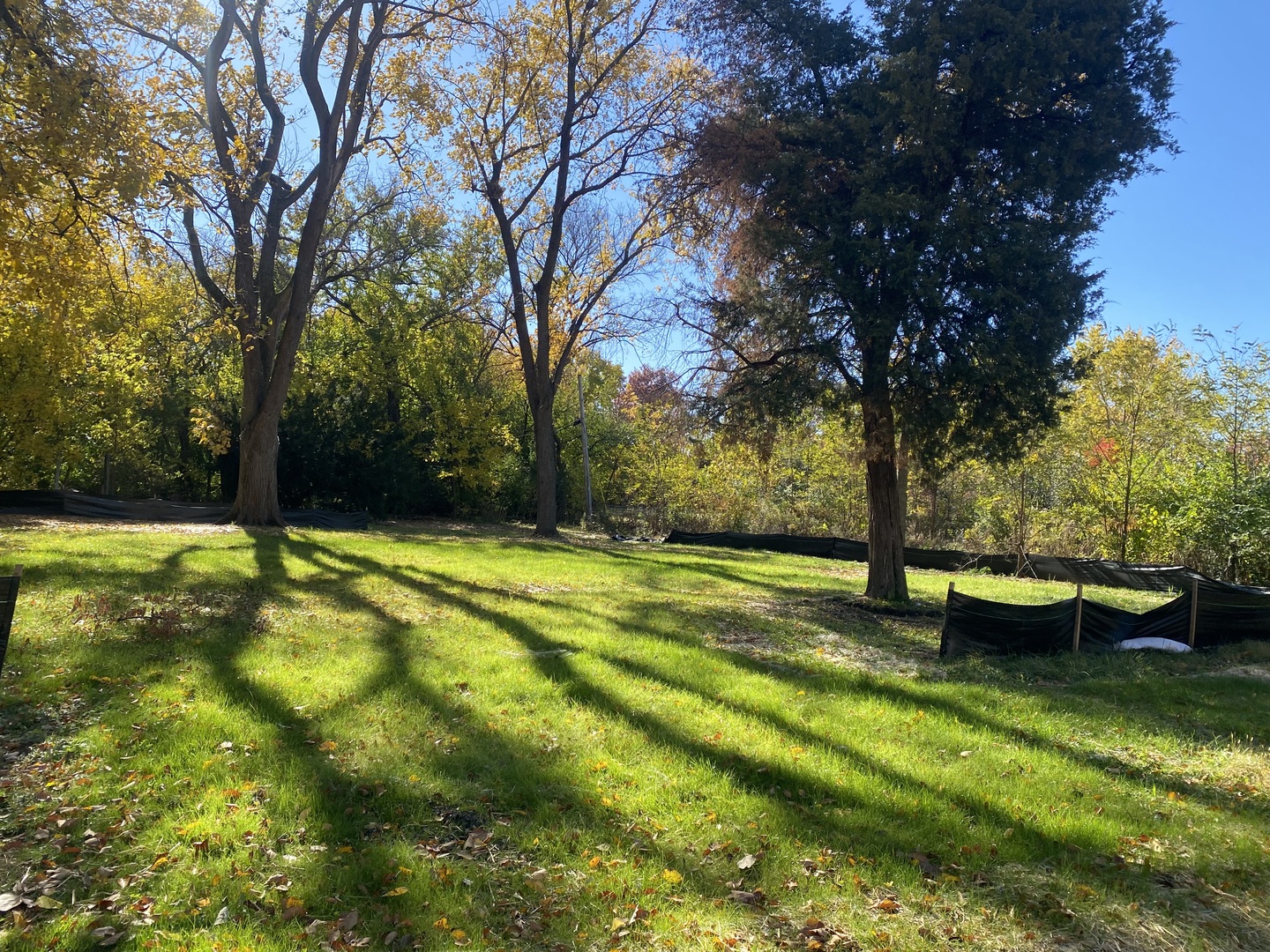 425 40TH Street Downers Grove IL 60515