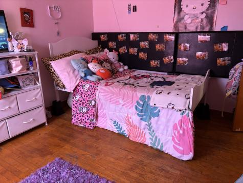 14733 La Salle Street Dolton IL 60419
