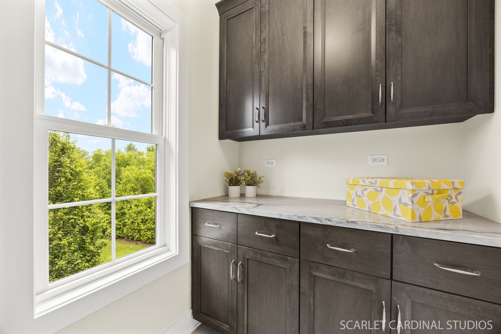 831 Avon Court Glen Ellyn IL 60137