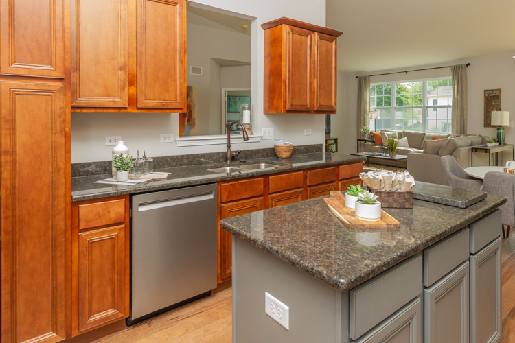 456 Ridge Lane Bolingbrook IL 60440