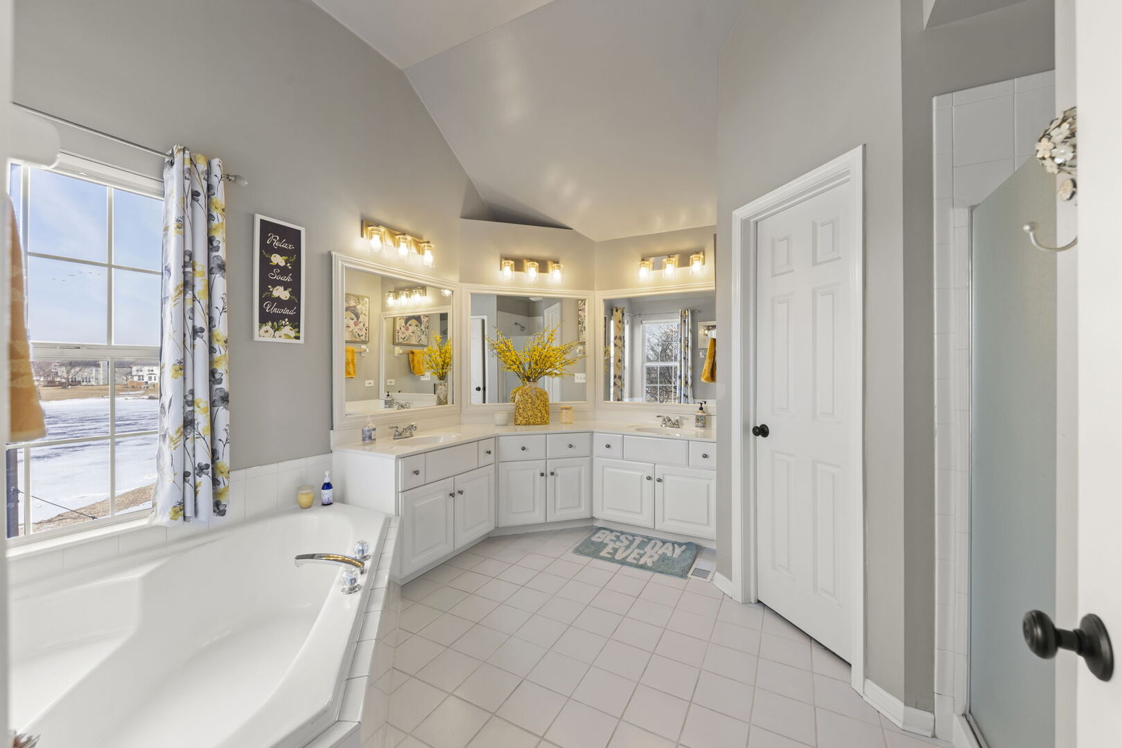 3451 Parliament Lane Naperville IL 60564