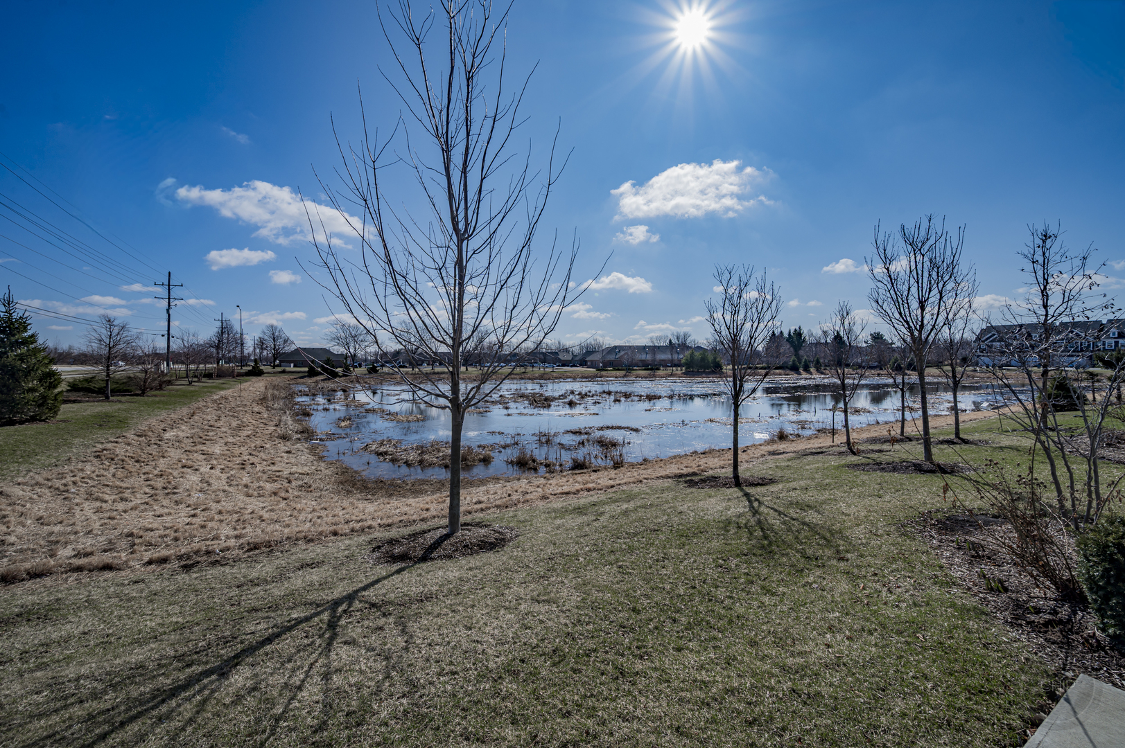 483 Watercress Drive Aurora IL 60504