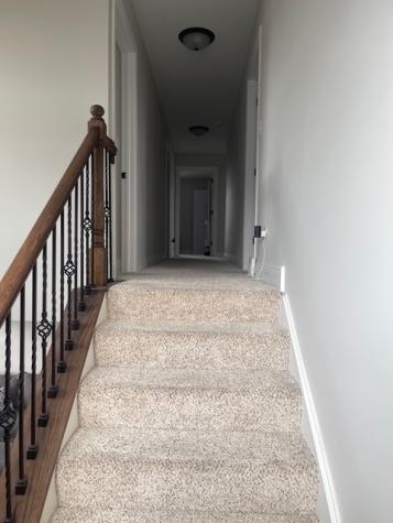 5226 Bentgrass Avenue Richton Park IL 60471