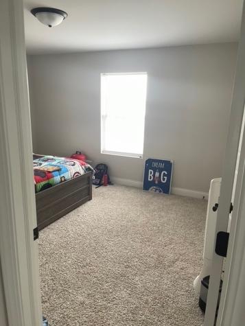 5226 Bentgrass Avenue Richton Park IL 60471
