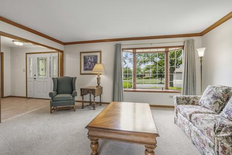 8320 Cloverview Drive Tinley Park IL 60477