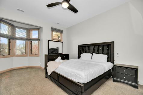20602 Abbey Drive Frankfort IL 60423