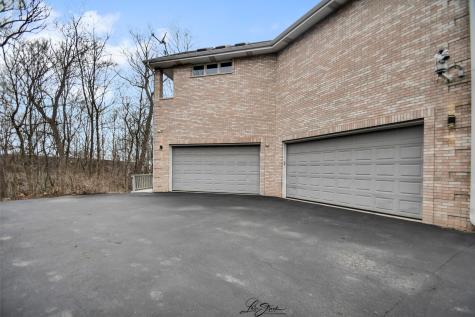 20602 Abbey Drive Frankfort IL 60423