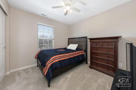 1115 Goldfinch Avenue Yorkville IL 60560