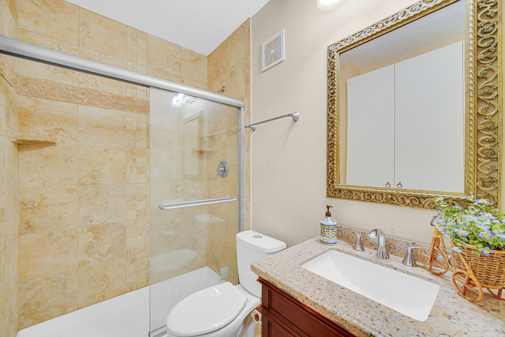 706 Wehrli Drive Naperville IL 60540