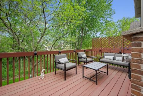 13839 Steepleview Lane Lemont IL 60439