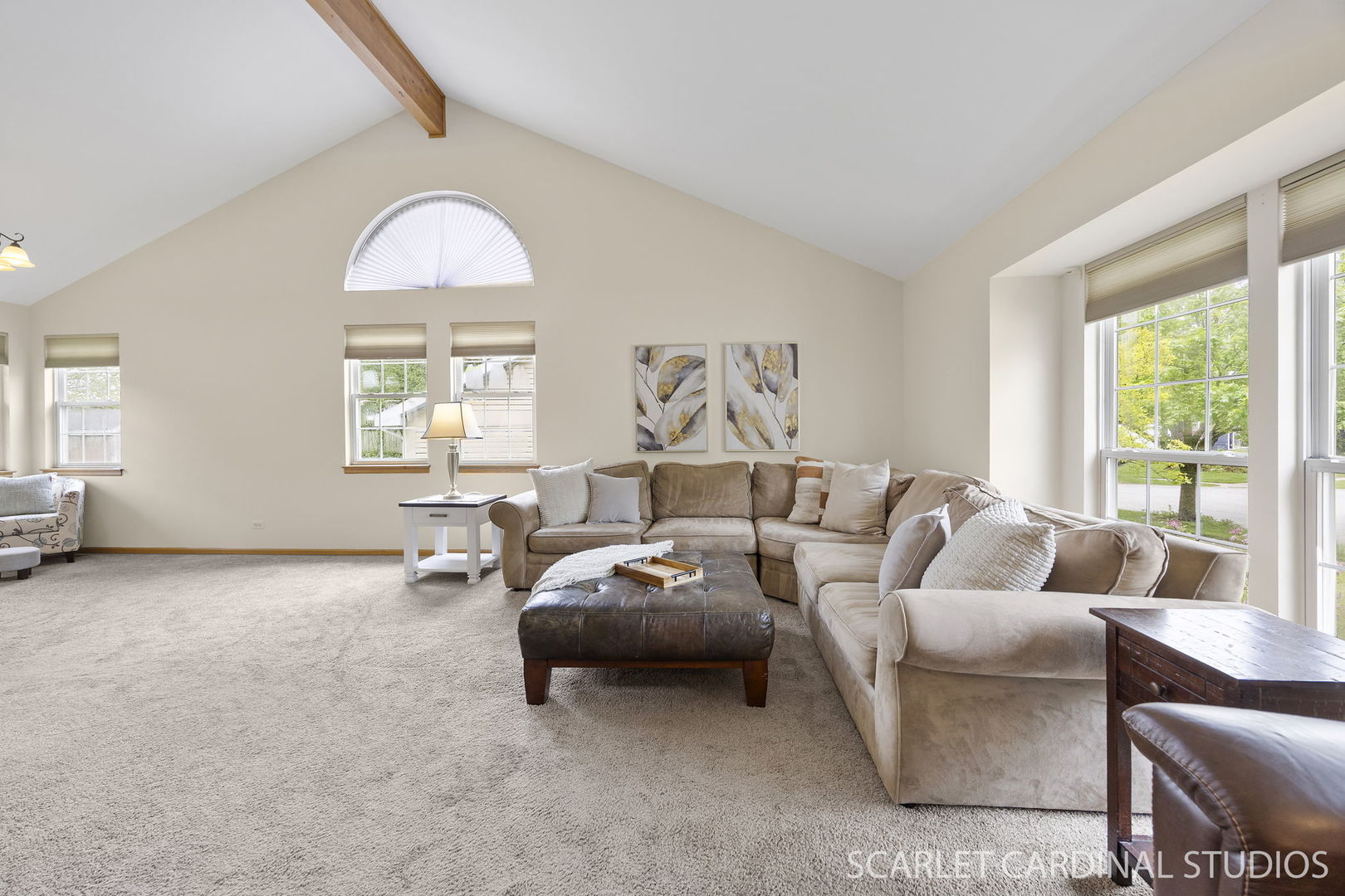 91 Forestview Lane Aurora IL 60502