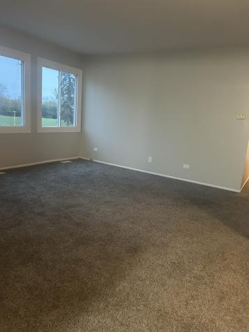711 Driftwood Court University Park IL 60484